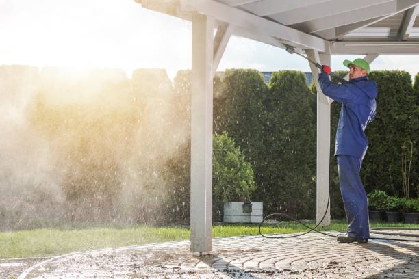 Best Vinyl Siding Pressure Washing in Pinehurst, MA